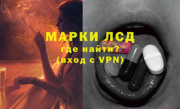 ПСИЛОЦИБИНОВЫЕ ГРИБЫ Новокубанск