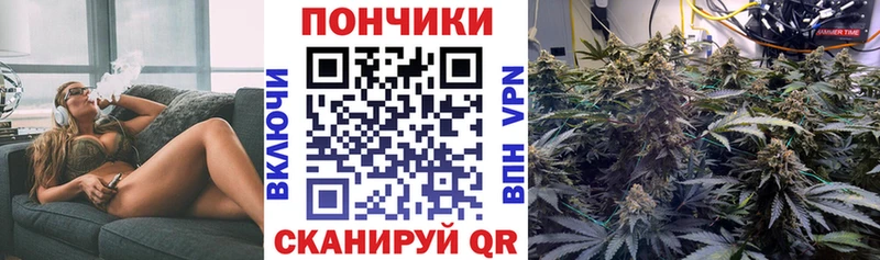 мега tor  Лангепас  Бошки Шишки Amnesia 